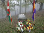 Pikoketa 2011